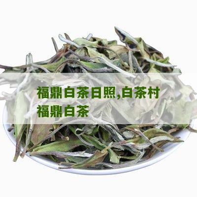 福鼎白茶日照,白茶村福鼎白茶