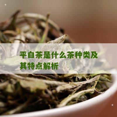 平白茶是什么茶种类及其特点解析