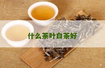 什么茶叶白茶好