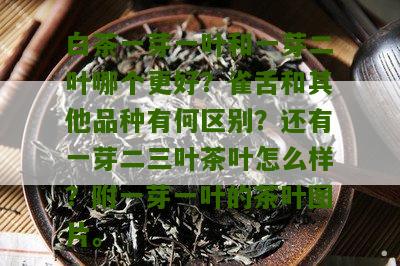 白茶一芽一叶和一芽二叶哪个更好？雀舌和其他品种有何区别？还有一芽二三叶茶叶怎么样？附一芽一叶的茶叶图片。