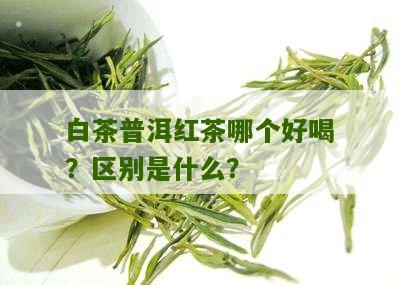 白茶普洱红茶哪个好喝？区别是什么？