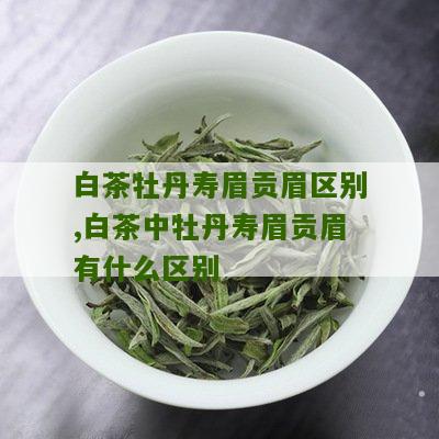 白茶牡丹寿眉贡眉区别,白茶中牡丹寿眉贡眉有什么区别