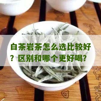 白茶岩茶怎么选比较好？区别和哪个更好喝？