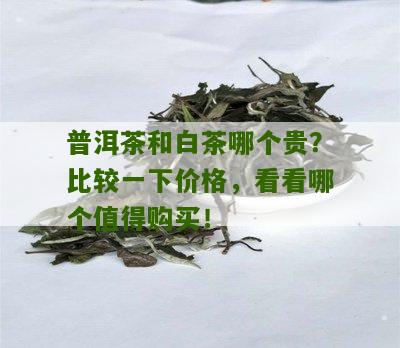 普洱茶和白茶哪个贵？比较一下价格，看看哪个值得购买！