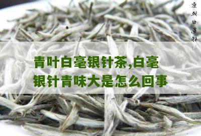 青叶白毫银针茶,白毫银针青味大是怎么回事