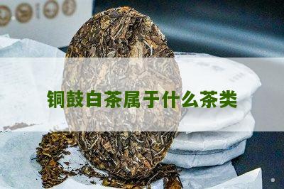 铜鼓白茶属于什么茶类