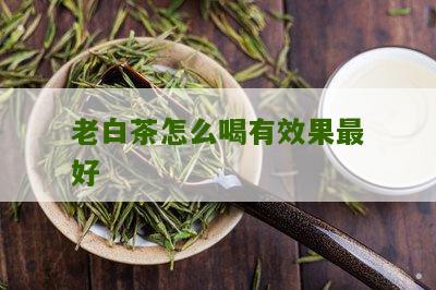 老白茶怎么喝有效果最好