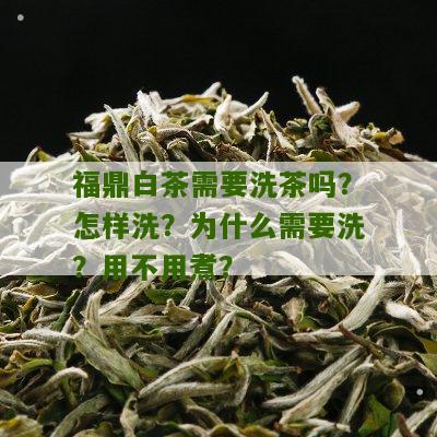 福鼎白茶需要洗茶吗？怎样洗？为什么需要洗？用不用煮？