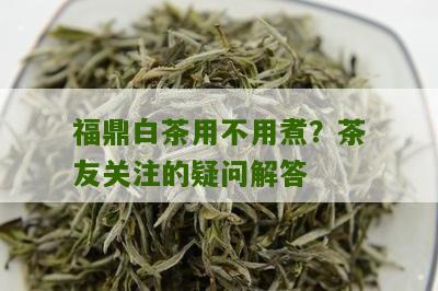 福鼎白茶用不用煮？茶友关注的疑问解答