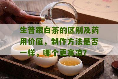 生普跟白茶的区别及药用价值，制作方法是否一样，哪个更寒凉？