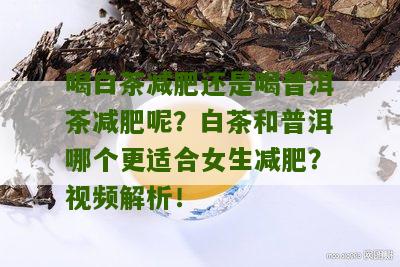 喝白茶减肥还是喝普洱茶减肥呢？白茶和普洱哪个更适合女生减肥？视频解析！