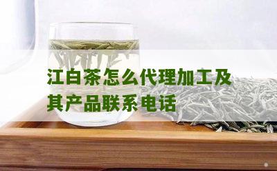 江白茶怎么代理加工及其产品联系电话