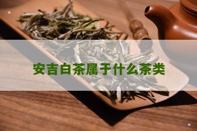 安吉白茶属于什么茶类