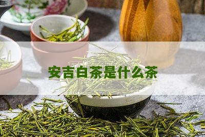 安吉白茶是什么茶