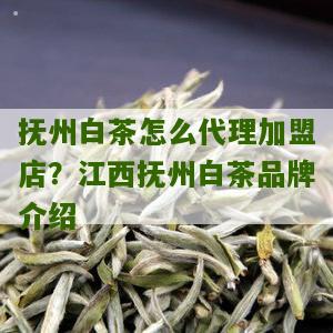 抚州白茶怎么代理加盟店？江西抚州白茶品牌介绍