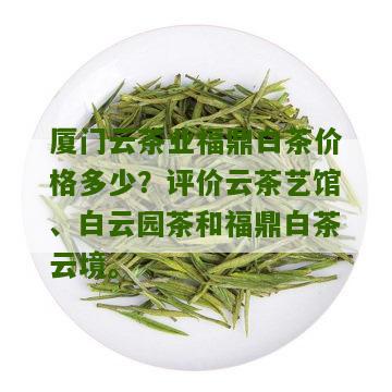 厦门云茶业福鼎白茶价格多少？评价云茶艺馆、白云园茶和福鼎白茶云境。