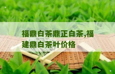 福鼎白茶鼎正白茶,福建鼎白茶叶价格