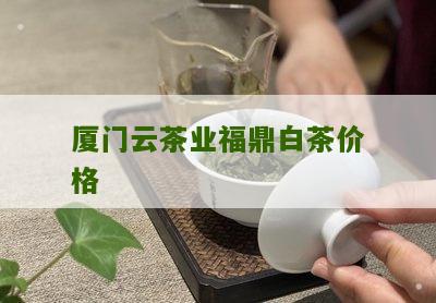 厦门云茶业福鼎白茶价格