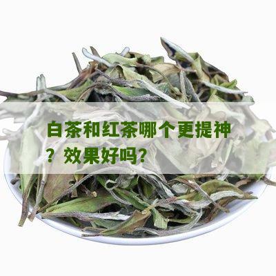 白茶和红茶哪个更提神？效果好吗？