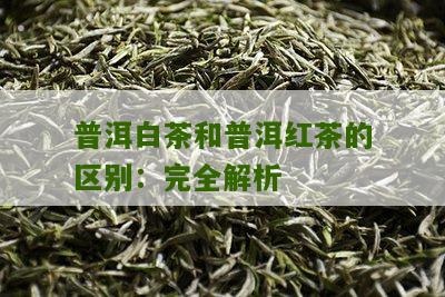 普洱白茶和普洱红茶的区别：完全解析