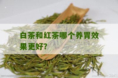 白茶和红茶哪个养胃效果更好？