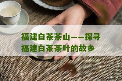 福建白茶茶山——探寻福建白茶茶叶的故乡