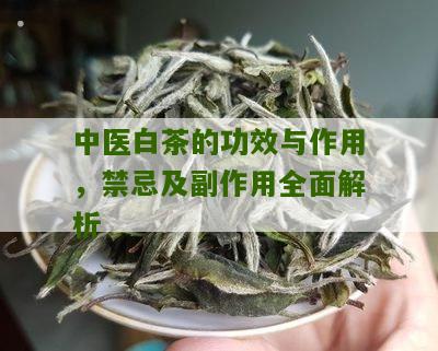 中医白茶的功效与作用，禁忌及副作用全面解析