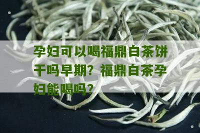 孕妇可以喝福鼎白茶饼干吗早期？福鼎白茶孕妇能喝吗？