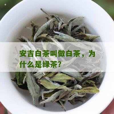 安吉白茶叫做白茶，为什么是绿茶？