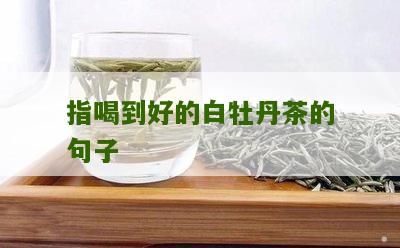 指喝到好的白牡丹茶的句子