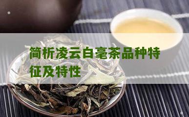 简析凌云白毫茶品种特征及特性