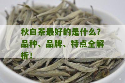 秋白茶最好的是什么？品种、品牌、特点全解析！