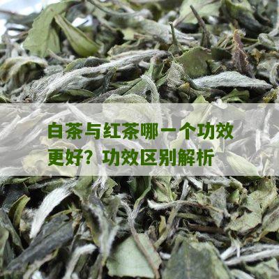 白茶与红茶哪一个功效更好？功效区别解析