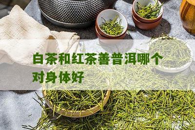 白茶和红茶善普洱哪个对身体好