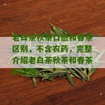 老白茶秋茶口感和春茶区别，不含农药，完整介绍老白茶秋茶和春茶的区别