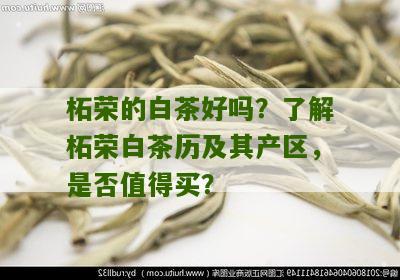 柘荣的白茶好吗？了解柘荣白茶历及其产区，是否值得买？