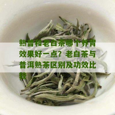 熟普和老白茶哪个养胃效果好一点？老白茶与普洱熟茶区别及功效比较