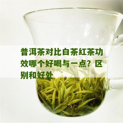 普洱茶对比白茶红茶功效哪个好喝与一点？区别和好处