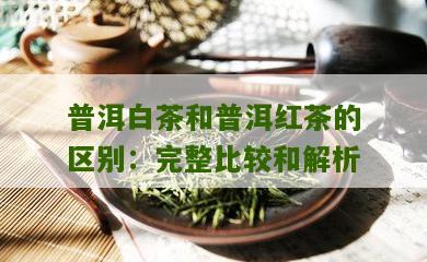 普洱白茶和普洱红茶的区别：完整比较和解析