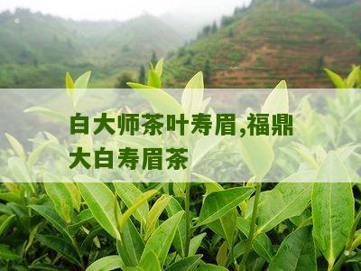 白大师茶叶寿眉,福鼎大白寿眉茶