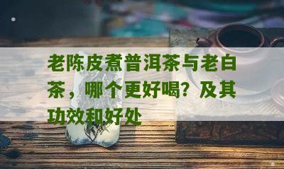 老陈皮煮普洱茶与老白茶，哪个更好喝？及其功效和好处