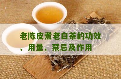 老陈皮煮老白茶的功效、用量、禁忌及作用