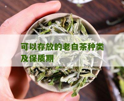 可以存放的老白茶种类及保质期