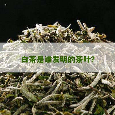 白茶是谁发明的茶叶？