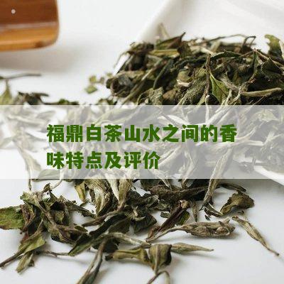 福鼎白茶山水之间的香味特点及评价