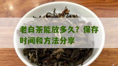 老白茶能放多久？保存时间和方法分享