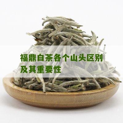 福鼎白茶各个山头区别及其重要性