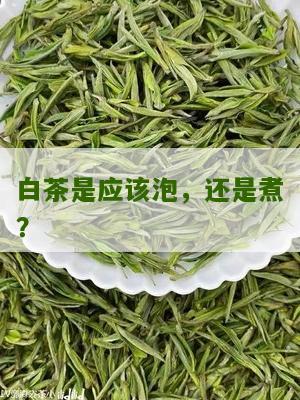 白茶是应该泡，还是煮？