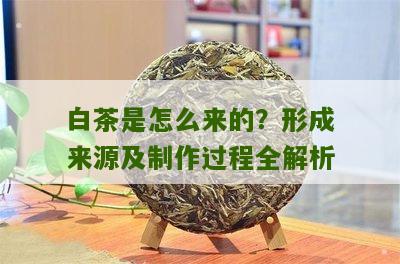 白茶是怎么来的？形成来源及制作过程全解析