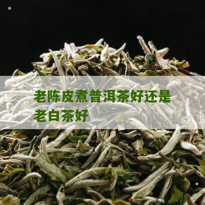 老陈皮煮普洱茶好还是老白茶好